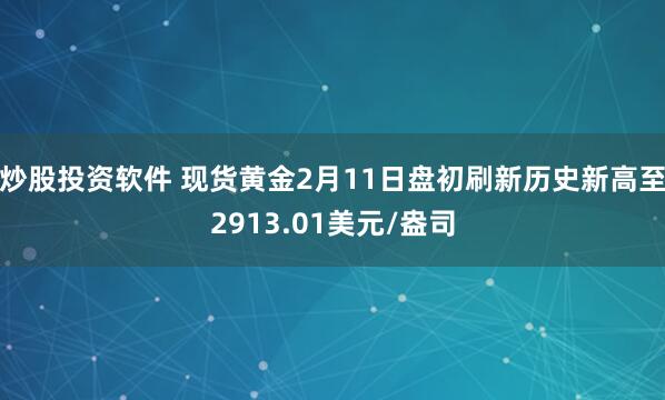 炒股投资软件 现货黄金2月11日盘初刷新历史新高至2913.01美元/盎司