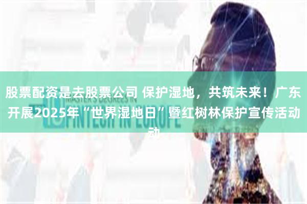 股票配资是去股票公司 保护湿地，共筑未来！广东开展2025年“世界湿地日”暨红树林保护宣传活动