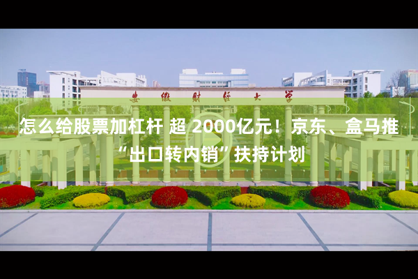 怎么给股票加杠杆 超 2000亿元！京东、盒马推“出口转内销”扶持计划