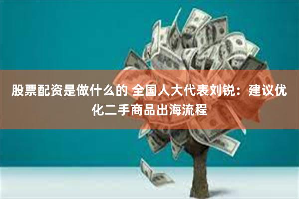 股票配资是做什么的 全国人大代表刘锐：建议优化二手商品出海流程
