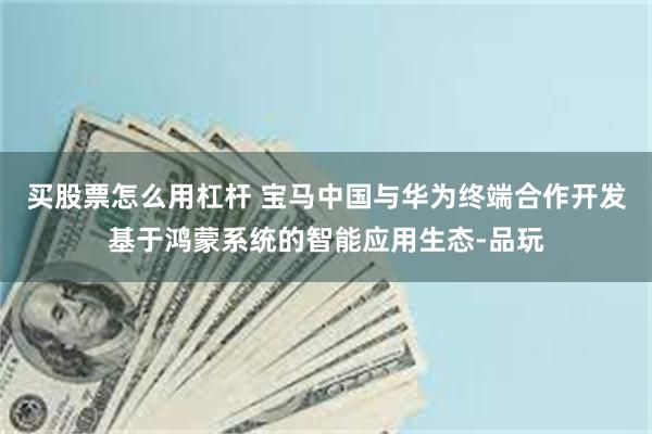 买股票怎么用杠杆 宝马中国与华为终端合作开发基于鸿蒙系统的智能应用生态-品玩