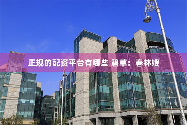 正规的配资平台有哪些 碧草：春林嫂