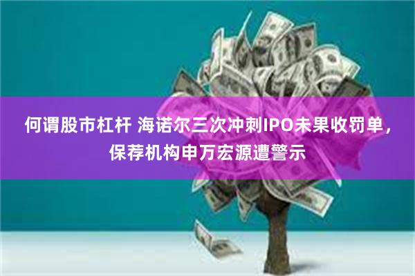 何谓股市杠杆 海诺尔三次冲刺IPO未果收罚单，保荐机构申万宏源遭警示