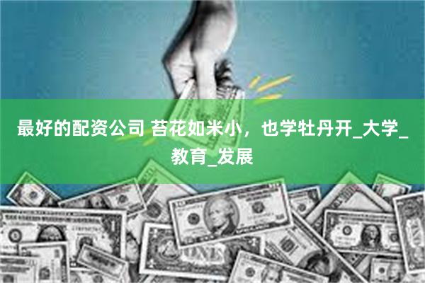 最好的配资公司 苔花如米小，也学牡丹开_大学_教育_发展