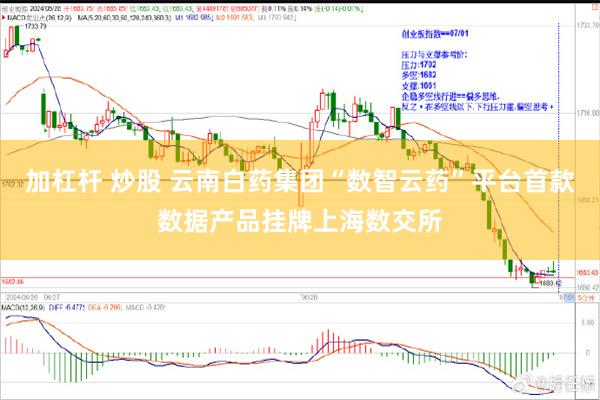 加杠杆 炒股 云南白药集团“数智云药”平台首款数据产品挂牌上海数交所