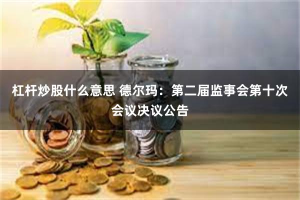 杠杆炒股什么意思 德尔玛：第二届监事会第十次会议决议公告