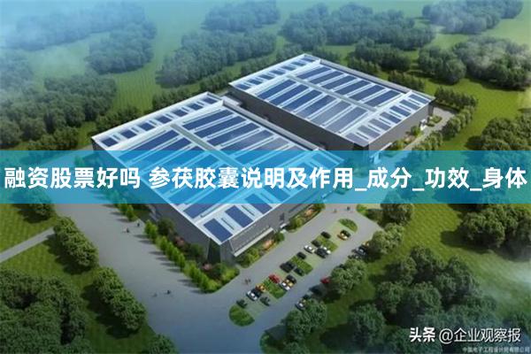 融资股票好吗 参茯胶囊说明及作用_成分_功效_身体