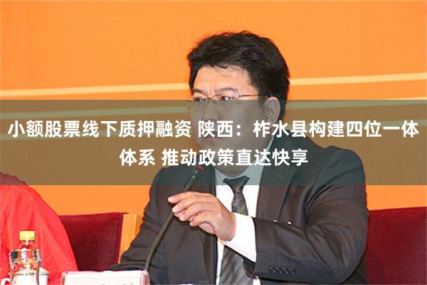小额股票线下质押融资 陕西：柞水县构建四位一体体系 推动政策直达快享