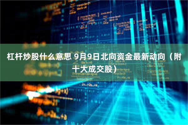 杠杆炒股什么意思 9月9日北向资金最新动向（附十大成交股）