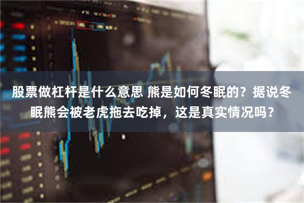 股票做杠杆是什么意思 熊是如何冬眠的？据说冬眠熊会被老虎拖去吃掉，这是真实情况吗？